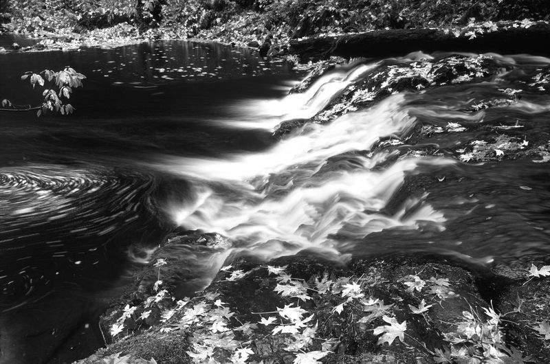 Luontotaito Oy - Image 1