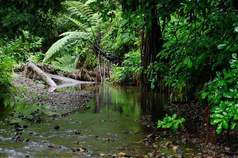 Luontotaito Oy - Image 13
