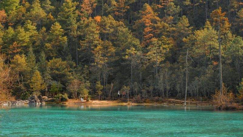 Luontotaito Oy - Image 4